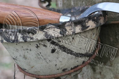 中國2025年7月橡膠進(jìn)口量同比增3.4%
