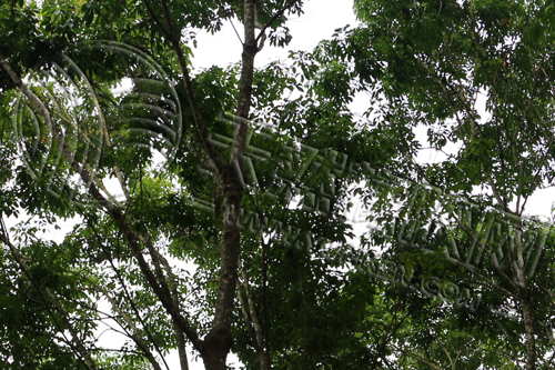 「輪胎硫化膠囊概述」看不見(jiàn)的“模具”，如何塑造每一只橡膠輪胎（九）