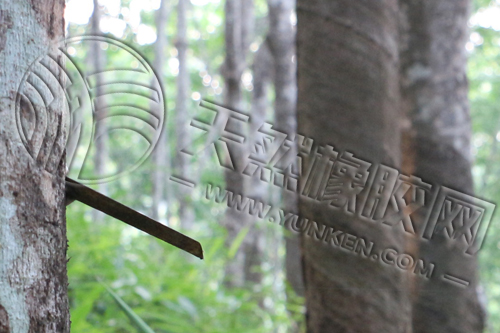 「輪胎硫化膠囊概述」看不見(jiàn)的“模具”，如何塑造每一只橡膠輪胎（六）