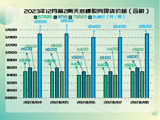 1702280108105580.jpg 二零二三一二一二橡膠周圖二.jpg