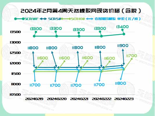 二零二四零二二七橡膠周圖一.jpg