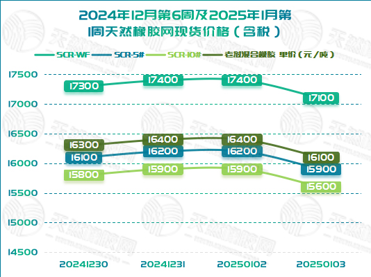 二零二五零一零八橡膠周圖一.jpg