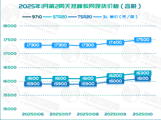 1736911813375919.jpg 二零二五零一一五橡膠周圖二.jpg